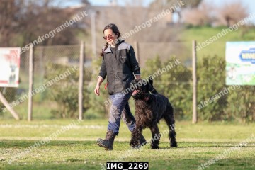 IMG_2269.jpg
