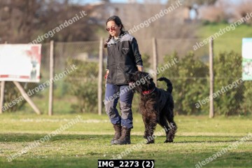 IMG_2273 (2).jpg