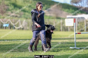 IMG_2307 (2).jpg