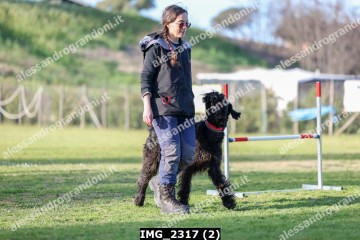 IMG_2317 (2).jpg