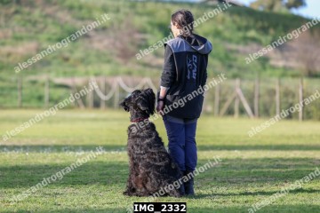 IMG_2332.jpg