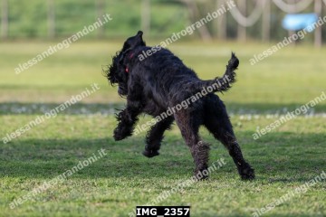 IMG_2357.jpg