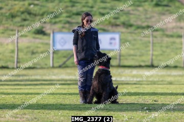 IMG_2377 (2).jpg