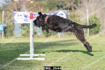 IMG_2544.jpg