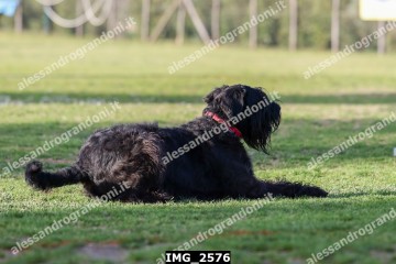 IMG_2576.jpg