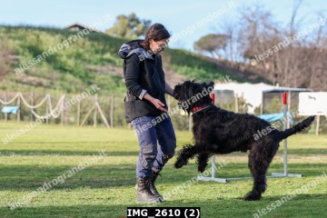 IMG_2610 (2).jpg