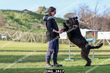 IMG_2617.jpg