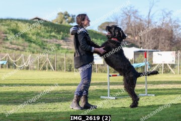 IMG_2619 (2).jpg
