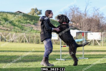 IMG_2623 (2).jpg