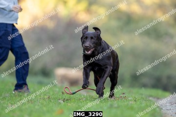 IMG_3290.jpg