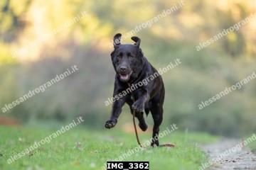 IMG_3362.jpg
