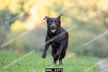 IMG_3371.jpg