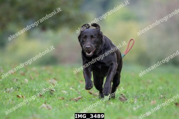IMG_3489.jpg