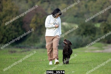 IMG_3574.jpg