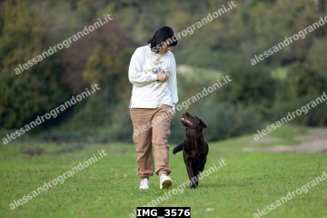 IMG_3576.jpg