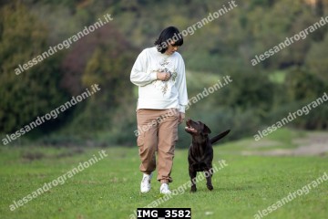 IMG_3582.jpg