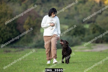 IMG_3595.jpg