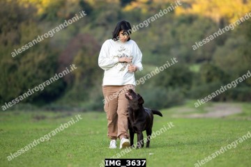 IMG_3637.jpg