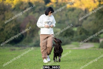IMG_3652.jpg