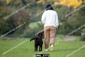 IMG_3772.jpg