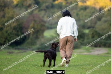 IMG_3807.jpg