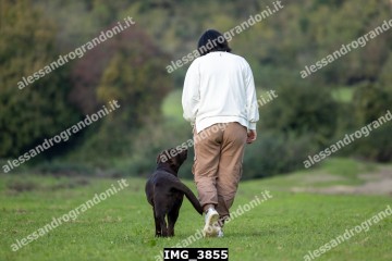 IMG_3855.jpg