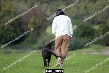 IMG_3857.jpg