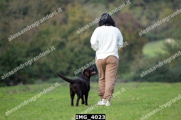 IMG_4023.jpg