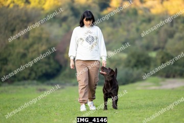 IMG_4146.jpg