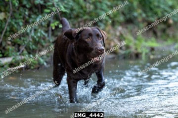 IMG_4442.jpg