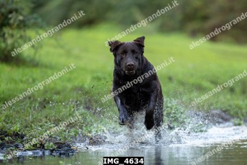 IMG_4634.jpg