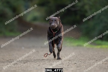 IMG_4772.jpg
