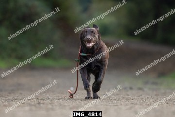 IMG_4814.jpg