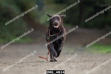 IMG_4824.jpg