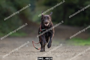 IMG_4825.jpg