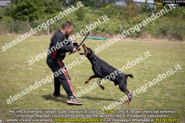 IMG9_21A0065.jpg
