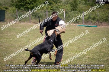IMG9_21A0069.jpg
