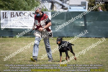 IMG_0289.jpg