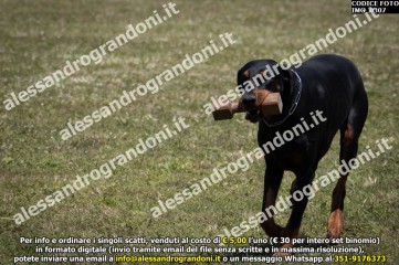 IMG_0307.jpg