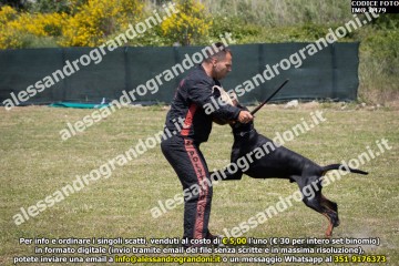 IMG_0479.jpg