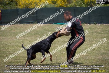 IMG_0486.jpg