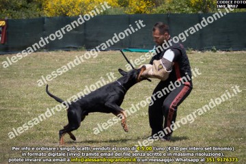 IMG_0487.jpg