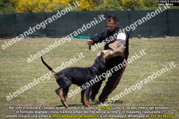 IMG_0489.jpg