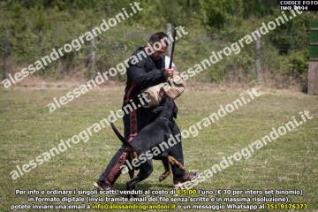 IMG_0494.jpg