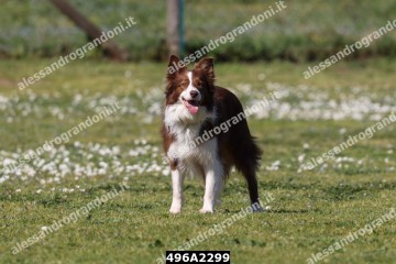 496A2299.jpg