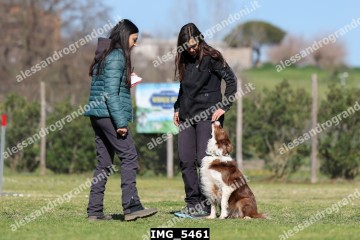 IMG_5461.jpg