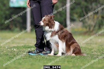 IMG_5474.jpg