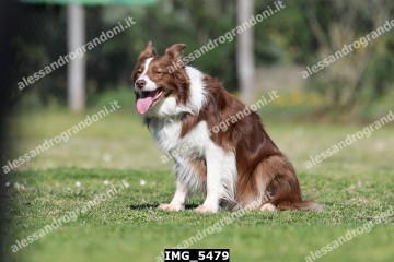 IMG_5479.jpg