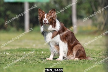 IMG_5483.jpg