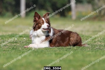 IMG_5504.jpg